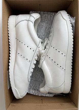 Шкіряні кеди steve madden