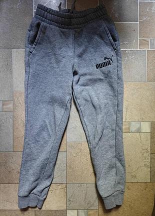 Сірі спортивні штани puma essentials logo