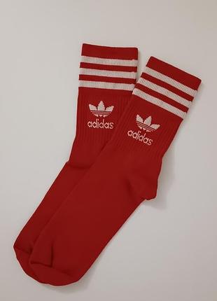 Шкарпетки adidas originals