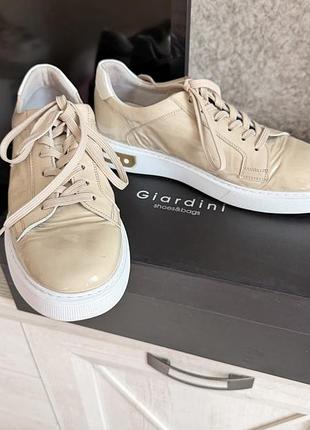 Кеди чоловічі модельні giardini lb l4239 лак бежевий