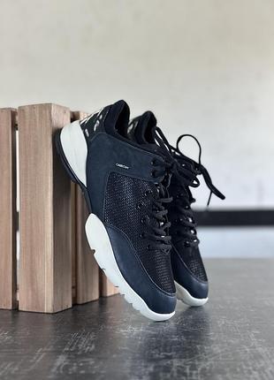 Кросівки geox