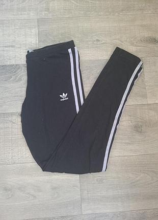 Коттоновые лосины оригинал м, с