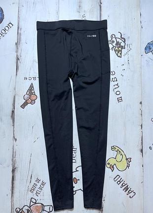 Лосіни 13 років 2