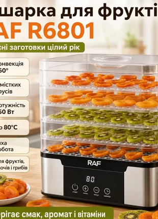 Сушилка для фруктов на 5 ярусов, 350вт, raf r6801, серая / электросушилка для фруктов и овощей / прохожие уточнять наличие