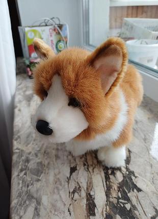 Плюшева іграшка собака собачка пес песик дуглас douglas cuddle toys цуценя коргі луї