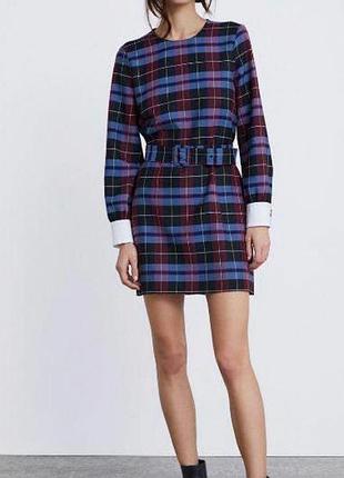 Сукня від бренду zara в синьо-бордову клітинку з поясом та білими манжетами.