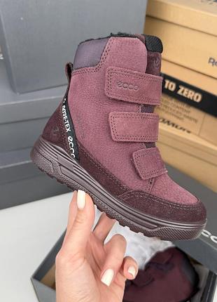 Теплые зимние сапожки на липучках ecco blue urban