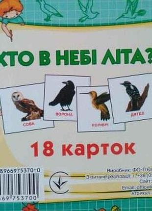 Развивающие карточки мини (18 карточек): кто в небе летает (в) тм jumbi