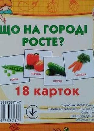 Розвиваючі картки міні (18 карток): що росте на городі (у) тм jumbi