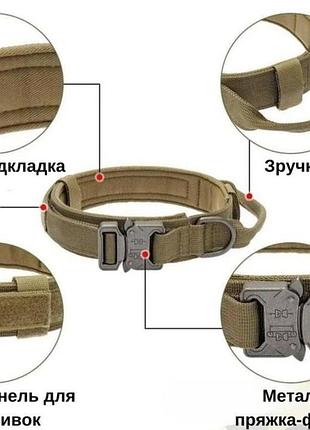 Ошийник для собак койот