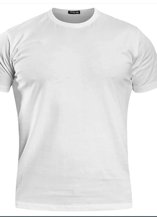 Футболка t-shirt pentagon ageron blank - white