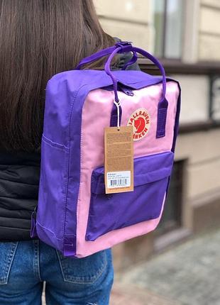 Purple-light pink 36
