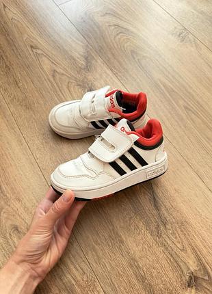 Кросівки adidas оригінал