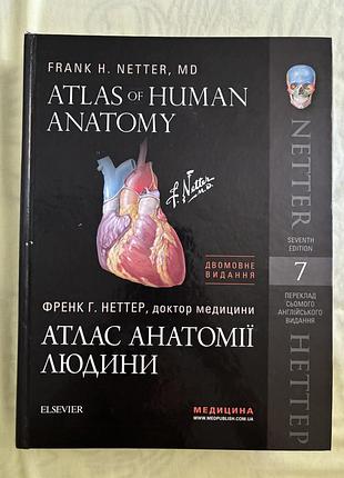 Атлас анатомії людини неттер 7