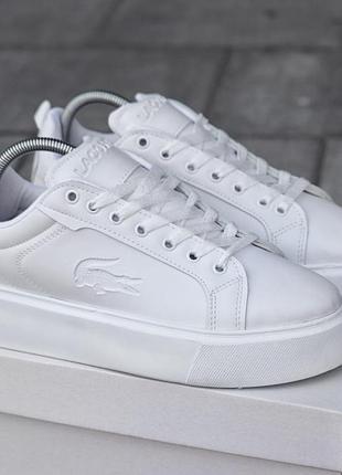 Кросівки чоловічі lacoste carnaby platform lite leather sneakers білі практичні із шкіри для щоденного носіння демісезонні