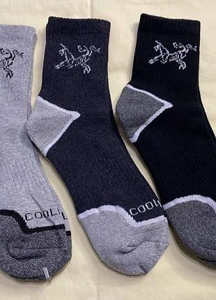 Носки arcteryx coolmax 2