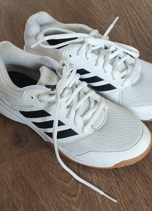 Кросівки adidas speedcourt