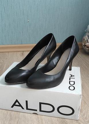 Туфлі шкіряні aldo