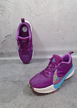 Кросівки nike zoom freak 5 баскетбольні унісекс giannis immortality kobe 8