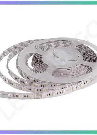 Світлодіодна стрічка rishang 60-5050 24v 12,9w rgb 4000k для підсвічування 5м ціна за 1м відвантаження sku_rd0260ac-a rgb-nw