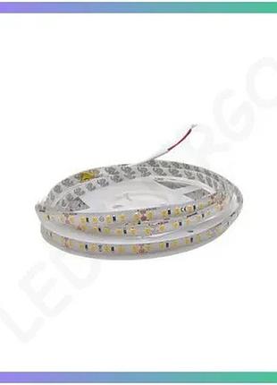Светодиодная лента rishang 60-2835 24v 5,5w 352lm теплый белый 2700k для подсветки 5м цена за 1м отгру sku_rn6060tc-b-sw