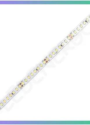 Светодиодная лента colors 160-2835 24v 13w 2015lm 5000k для подсветки интерьеров 5м цена за 1м отгрузк sku_d8160-24v-8mm-dw