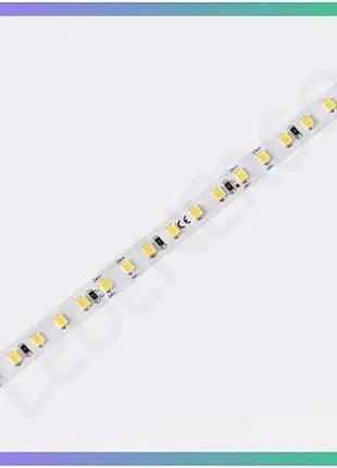 Светодиодная лента colors 120-2835 24v 8,8w 900lm 2700k для декоративного освещения 50м цена за 1м отг sku_dj120-24v-8mm-sw_dp50