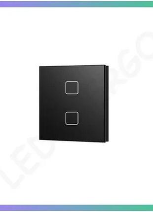 Сенсорная панель deya zigbee на 2 зоны черная димер для управления освещением и сценами sku_ts2(wzs)-black