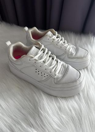 Кеди низькі skechers