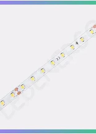 Светодиодная лента colors 80-2835 24v 6.6w 1010lm 3000k для подсветки интерьера 5м цена за 1м отгрузка sku_d880-24v-8mm-ww