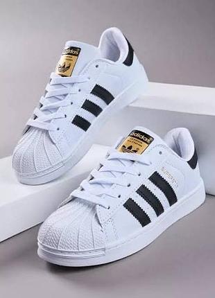 Кросівки adidas superstar