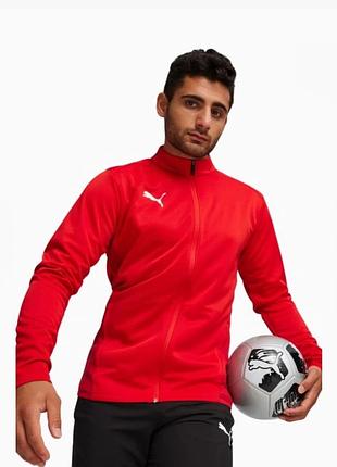 Чоловіча тренувальна олімпійка puma з лінійок спортивного екіпірування puma teamgoal / liga.