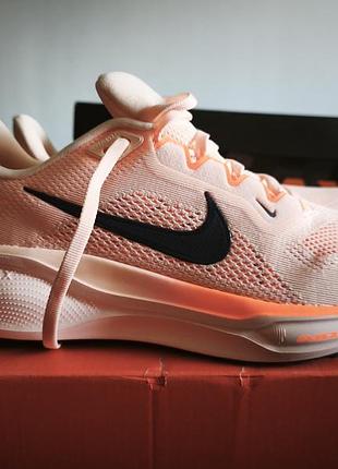Nike pegasus 41