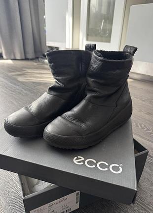 Теплі угги ecco