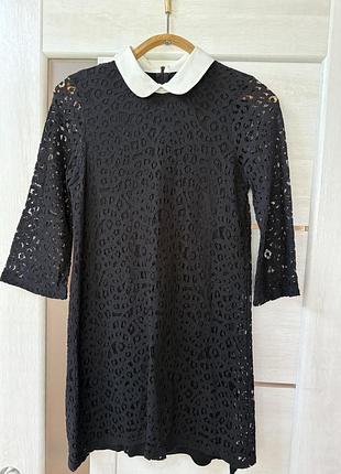 Маленьке чорне плаття з воротником бренд zara 5