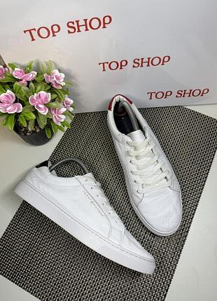 Оригинальные кроссовки кожаные Tommy hilfiger