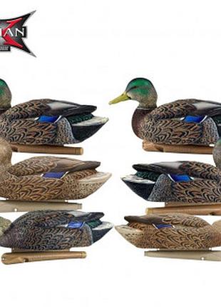Чучела  аvian-x early-season mallard decoys