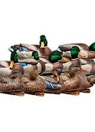 Чучела avian-x topflight outfitter flocked 12 pack.