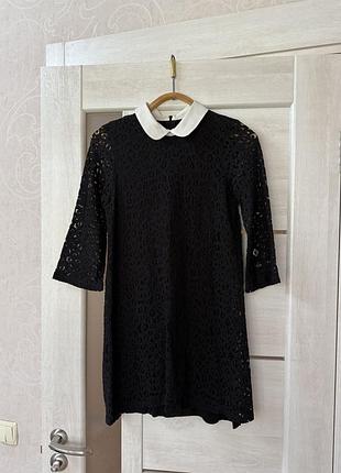 Маленьке чорне плаття з воротником бренд zara