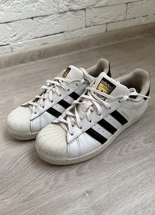Жіночі кросівки superstar