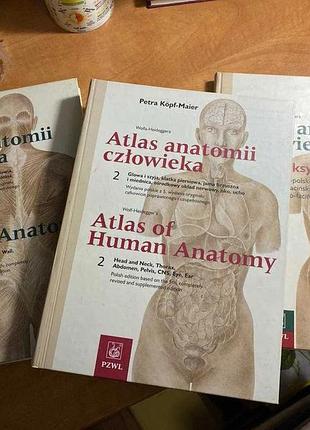 Atlas anatomii człowieka wolfa-heideggera tom 1-2 + indeksy/słowniki