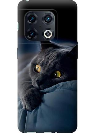 Чехол силиконовый на телефон oneplus 10 pro дымчатый кот "825u-2588-58250"