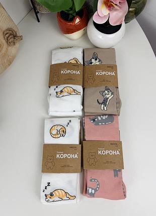 Корона якісні колготи з котами