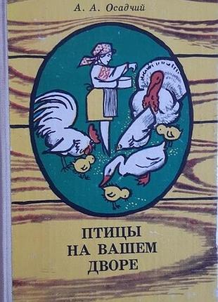 Осадчий а. а. птицы в вашем дворе. худ. н. н. капуста. донецк. донбасс. 1982г. 208с., с илл. переплет: твердый картонный, обычный формат.  в книге в п