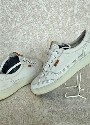 Кроссовки (ecco) размер 42-43 2
