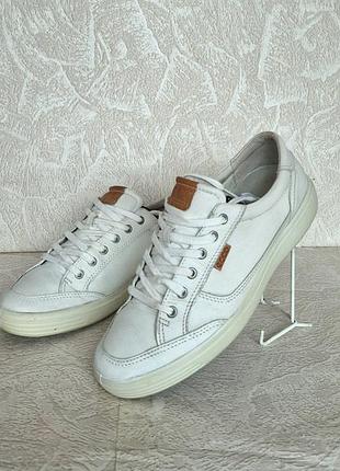 Кроссовки (ecco) размер 42-43 5