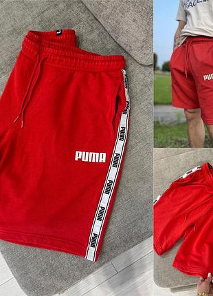 Чоловічі шорти puma
