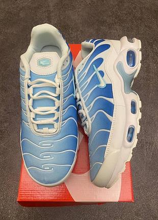 Nike air max tn  кросівки