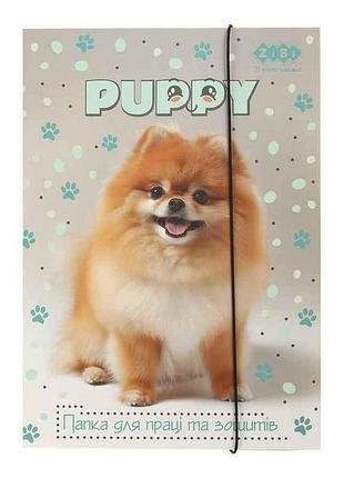 Папка для труда a4 dog на резинке тм zibi