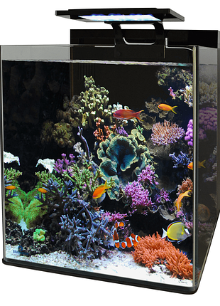 Bm reef 90 aquarium (n4055350) морський акваріумний комплект